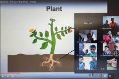 SCIENCE-EXPERIMENT-CLASSES21ST-NOV-re